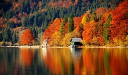 Quand l'automne slovène se pare d'orange. Moment idéal pour y aller.