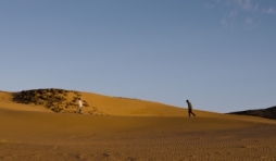 Competition : "Abou Leila" (Amin Sidi-Boumediene)