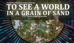 To See a World in the Grain of Sand