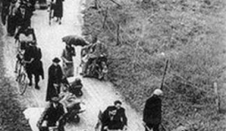 Exode de 1940. Avis de recherche