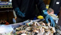 huitre de Milmort-7448