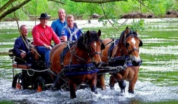 Rochehaut-sur-Semois , vivier, sensation, decouverte, estivale
