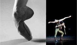 stage ,international ,danse , juillet , Liege