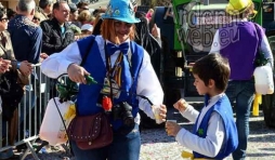 video carnaval de La Roche 2017