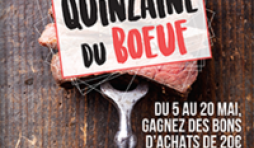  Le Blanc Bleu Belge en Wallonie