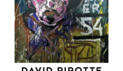 David Pirotte Artiste 