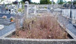 Tombe de Maurice Micha. Houffalize