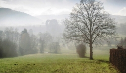 1 Brume campagne Bellevaux