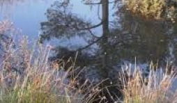 Les Journées wallonnes de l’Eau, c’est comme vous voulez, quand vous voulez et où vous voulez !