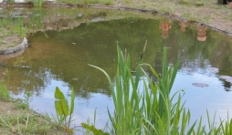 Harzé. Inauguration à l'école communale du Grand Mont