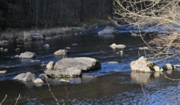 Lierneux. Colloque sur le castor. (4)