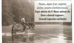 L expo qui murmurait a l oreille des chevaux